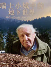 【记录片】瑞士小城中的地下世界